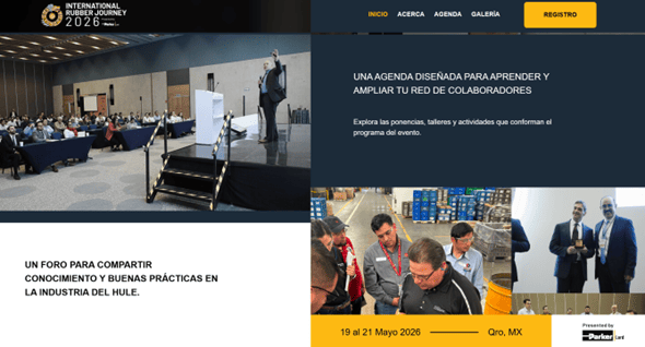 sitio web profesional