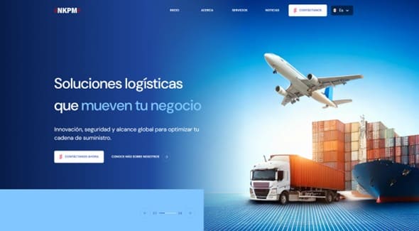 web profesional